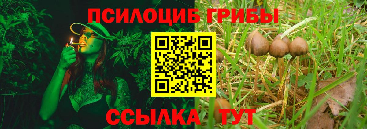 сколько стоит  Вход с VPN  Урай  Псилоцибиновые грибы Psilocybine cubensis 